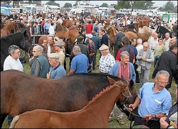 Image: foireauxchevaux.jpg