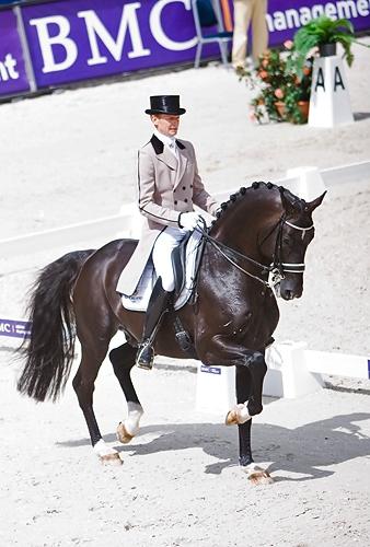 Equitation : les différents types de selle