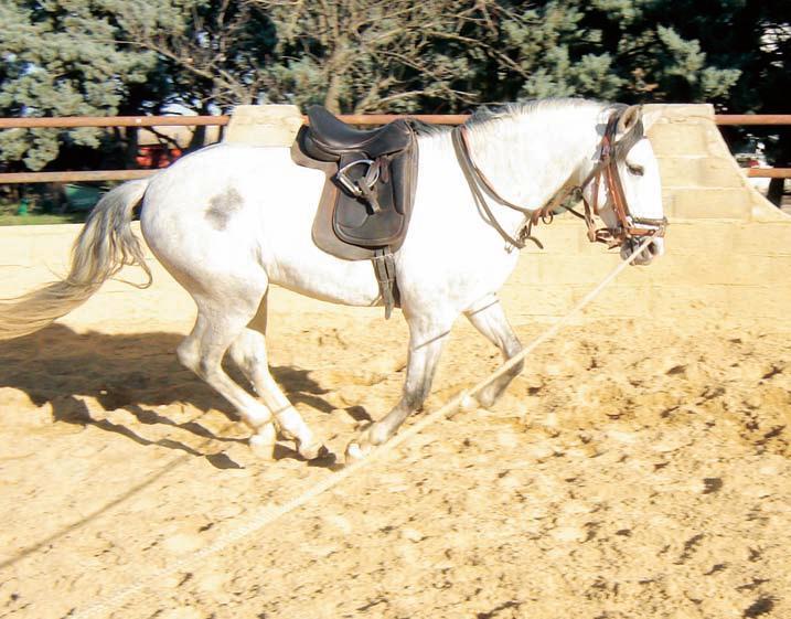 Image: emnbouchure22.jpg