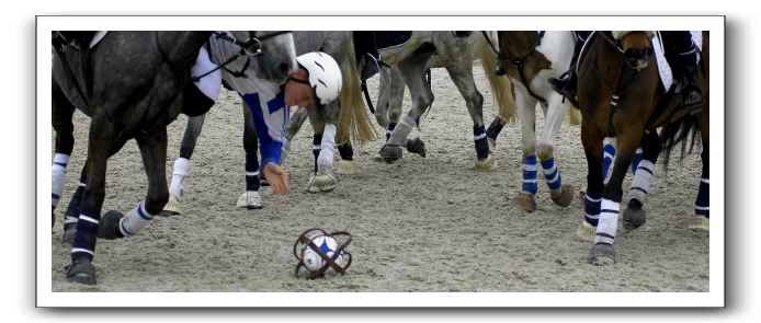 Image: horse-ball22%5B1%5D.jpg