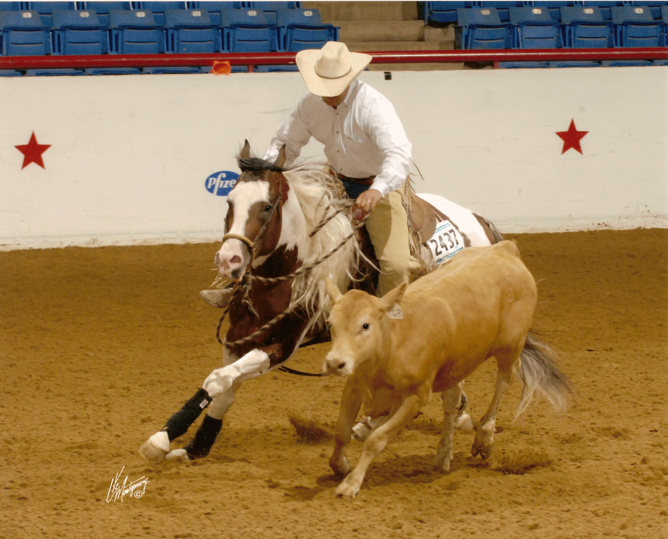 Stage équitation western et séjour western en France et en Amériques -  Caval&go